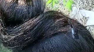 Indian amateurs blowjob doggystyle