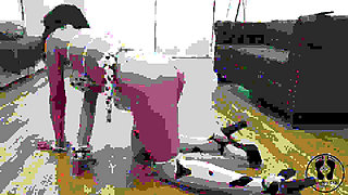 Mad Cow Mooing and Walking Free Video