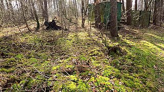 Tits Banging on Construction Trailer in the Forest