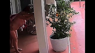 Amateur grabbing big boobs tease