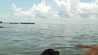 Sexxy Brandon: Lost at Sea