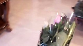 Gorgeous brunette babe fucked hardcore in the bathroom